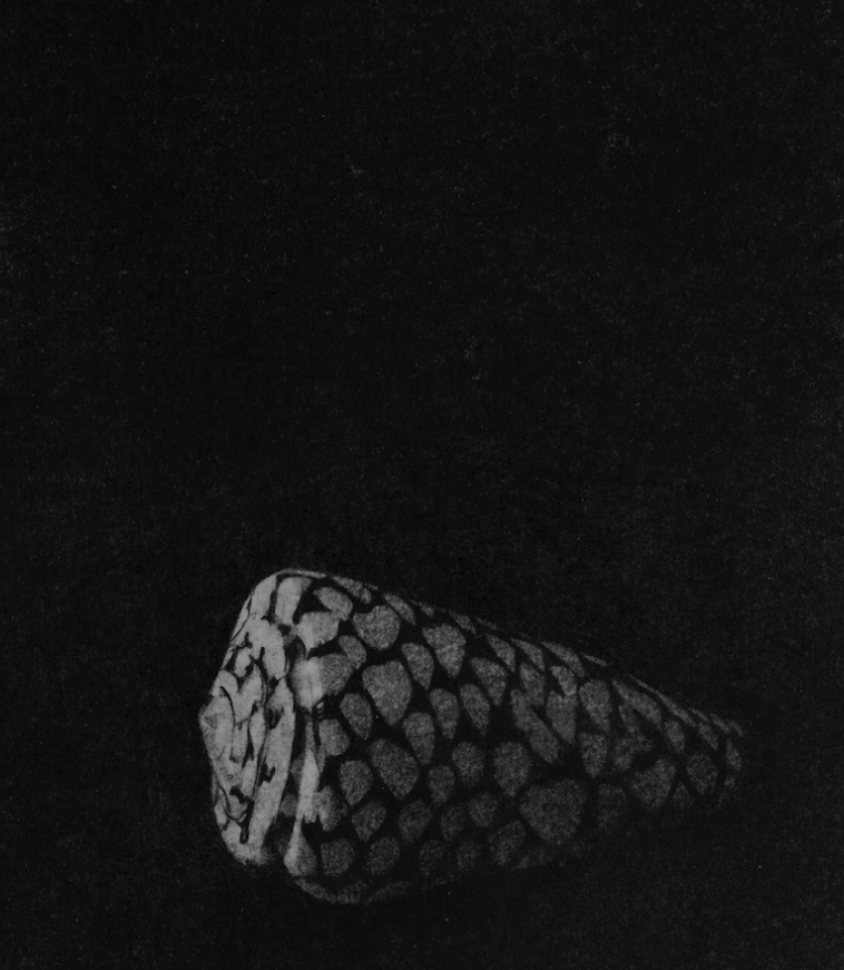 Captura de pantalla 2017-06-08 a las 16.27.15