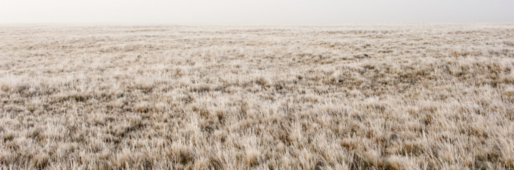 Captura de pantalla 2017-06-16 a las 11.25.42