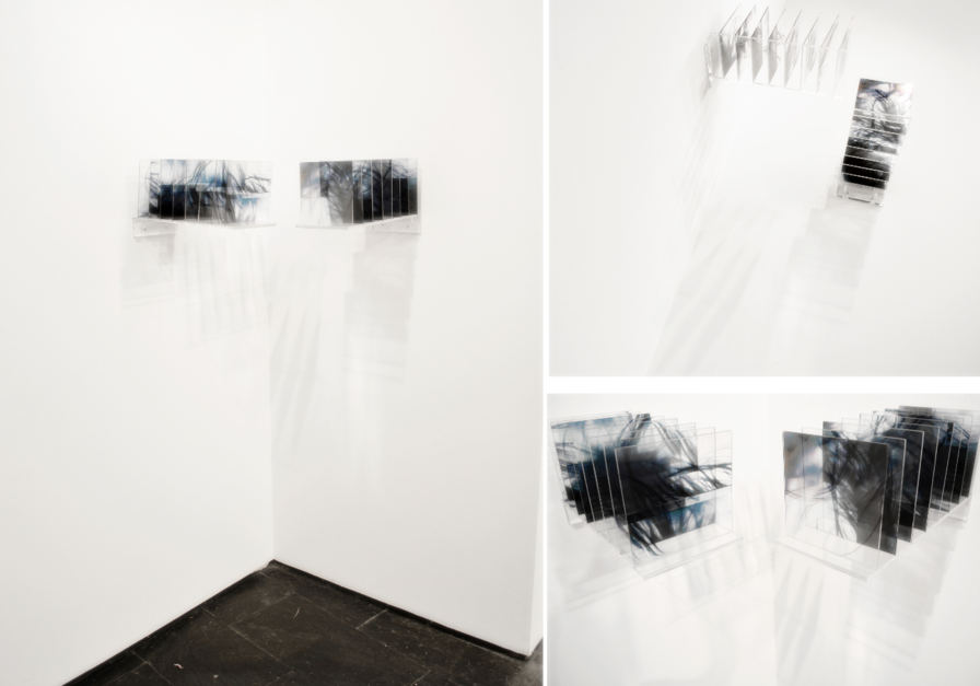 Vibrisas |Digital de VanessaGallardo | Compra arte en Flecha.es