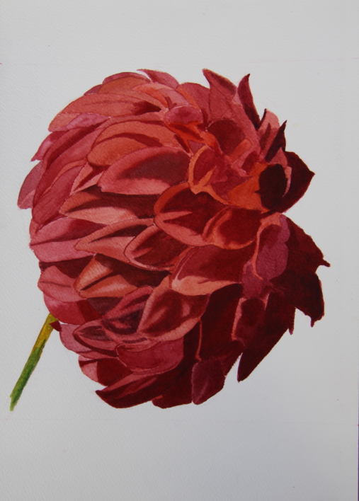 Crisantemo Rojo |Pintura de Miguel Ortega Mesa | Compra arte en Flecha.es