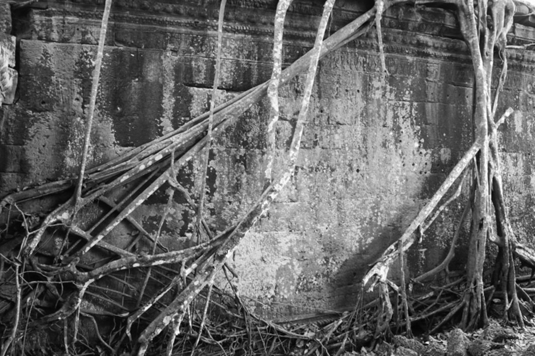 Ta Phrom |Fotografía de Verónica Velasco Barthel | Compra arte en Flecha.es