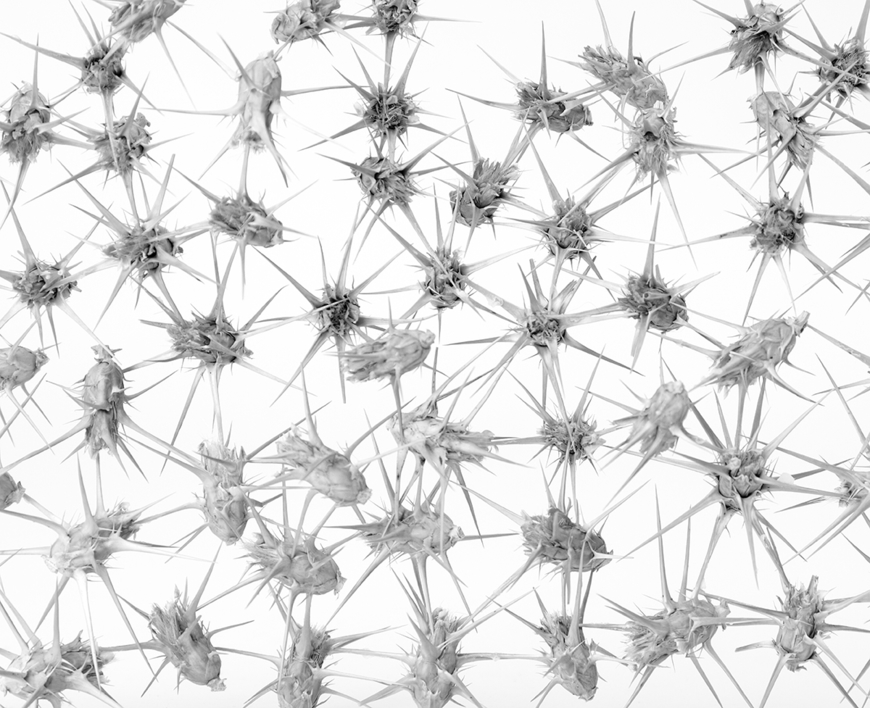 Objet Trouve |Digital de jjuncadella | Compra arte en Flecha.es