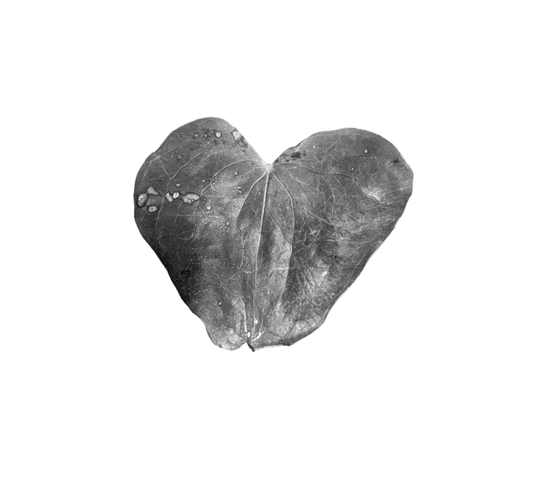 Objet Trouve |Digital de jjuncadella | Compra arte en Flecha.es