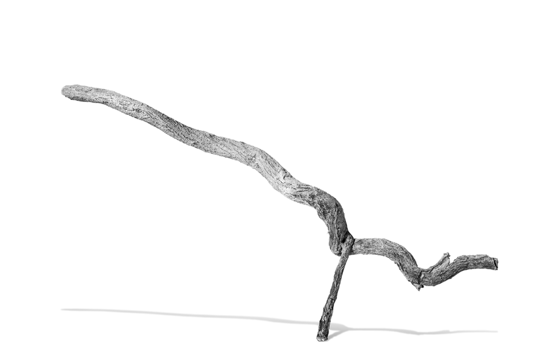 Objet Trouve |Digital de jjuncadella | Compra arte en Flecha.es