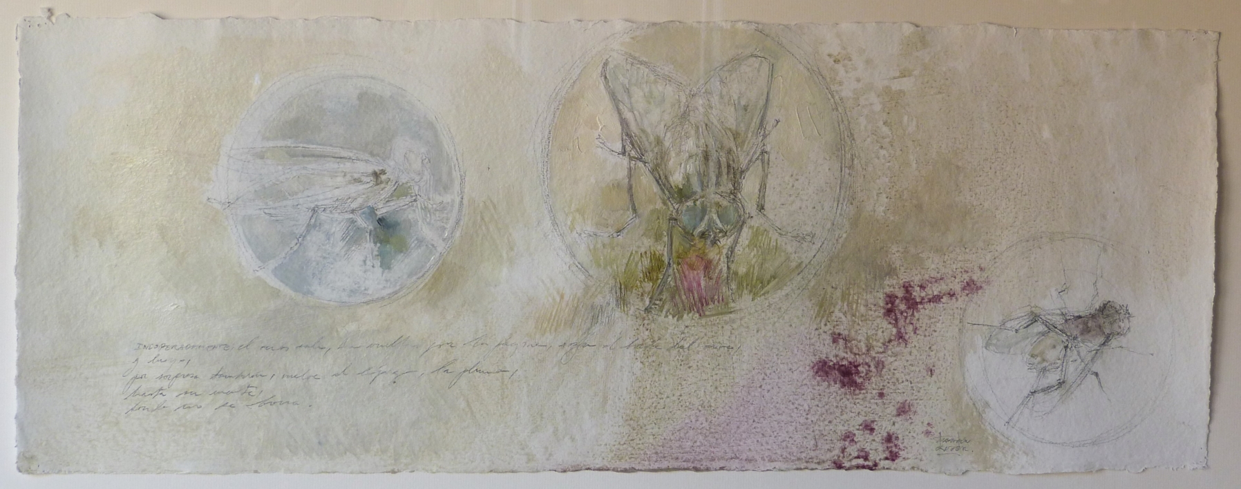 "Insectos" |Dibujo de Carmen Roger | Compra arte en Flecha.es