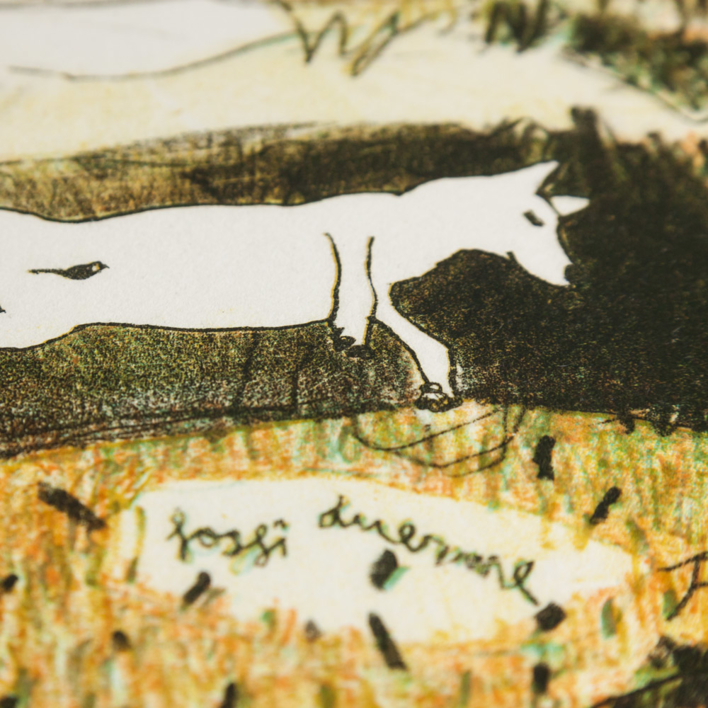 Fosfis Duerme. | Obra gráfica de Marta Aguirre | Compra arte en Flecha.es