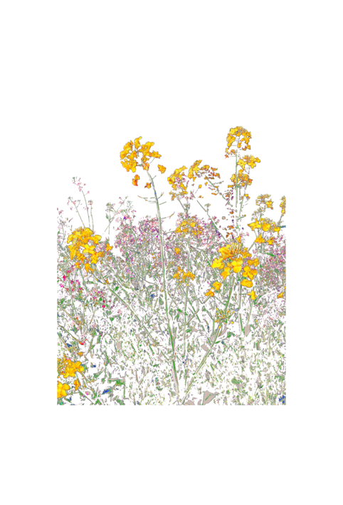 Bloom I | Digital de Marta Caldas | Compra arte en Flecha.es