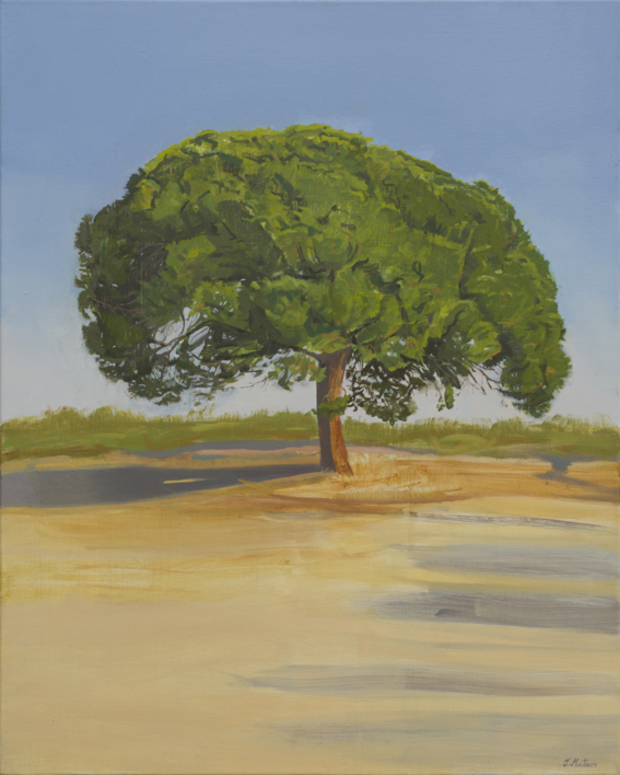 Azul verde y siena, un Pino en la Marisma |Pintura de Ignacio Mateos | Compra arte en Flecha.es