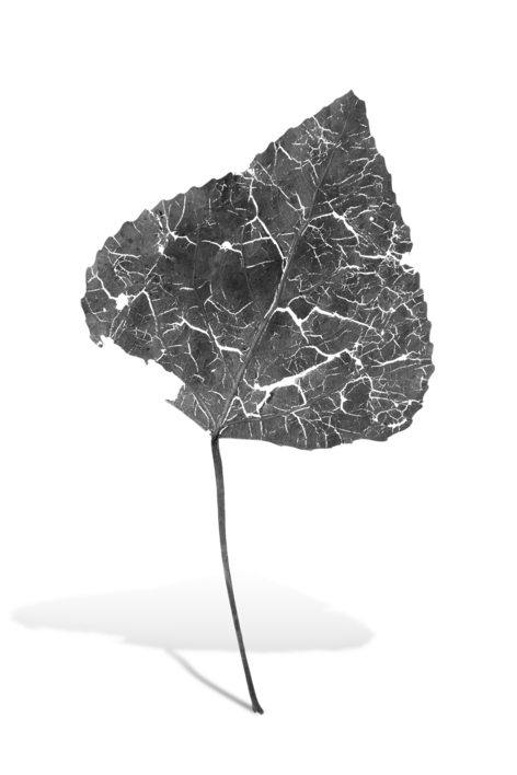 Objet Trouve |Digital de jjuncadella | Compra arte en Flecha.es