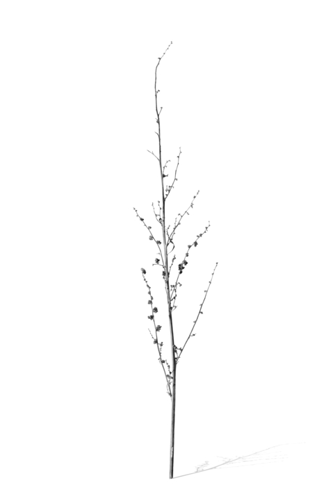 Objet Trouve |Digital de jjuncadella | Compra arte en Flecha.es