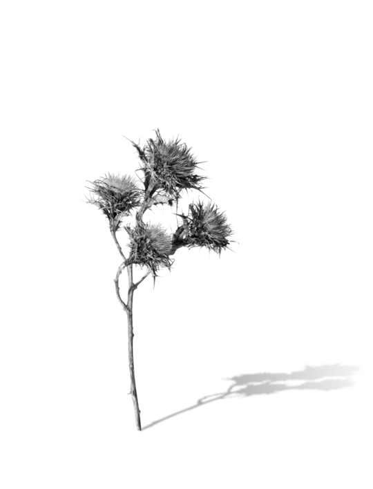 Objet Trouve |Digital de jjuncadella | Compra arte en Flecha.es
