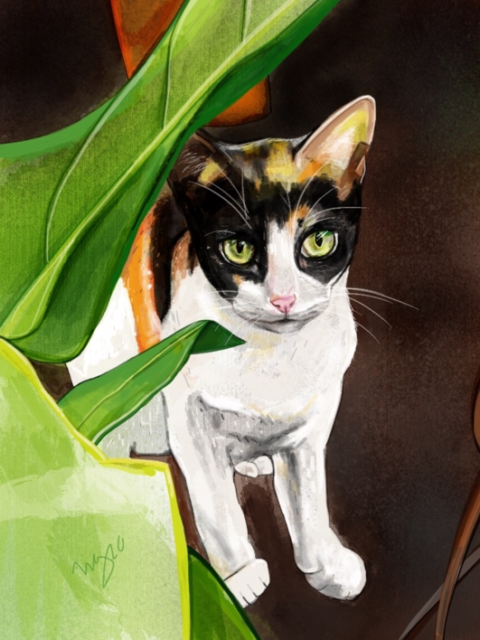 Kitty |Dibujo de Ángeles Romo | Compra arte en Flecha.es