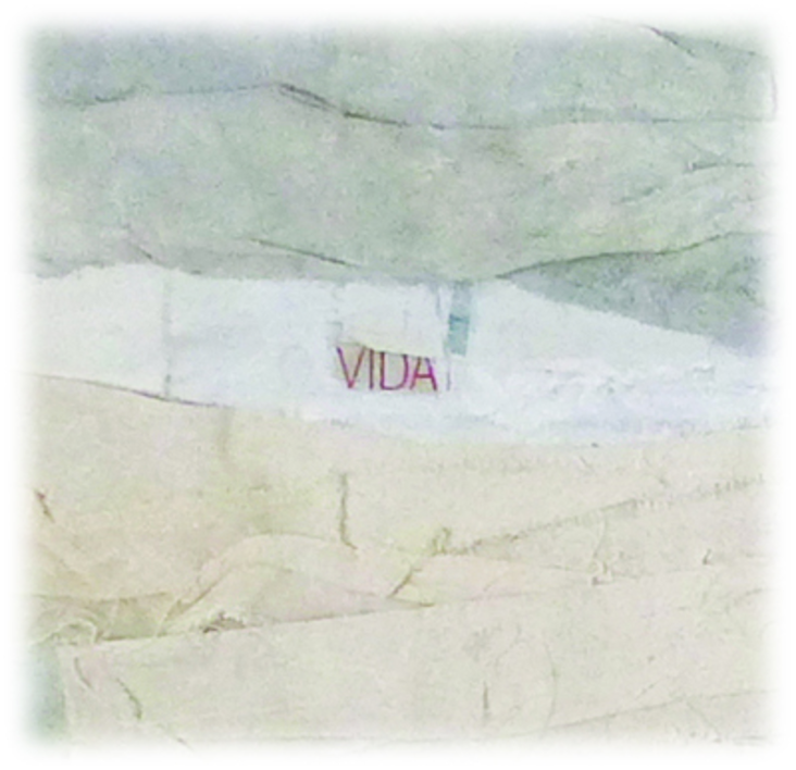 PAISAJE VIDA | Collage de Julia Fragua | Compra arte en Flecha.es