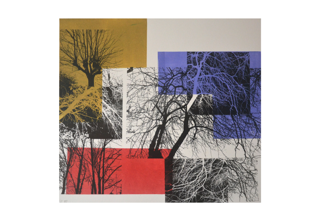 El bosque translúcido 2 V/E III |Obra gráfica de Josep Pérez González | Compra arte en Flecha.es
