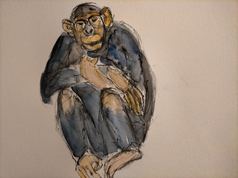 Chimpancé |Dibujo de OliverPlehn-Artist | Compra arte en Flecha.es
