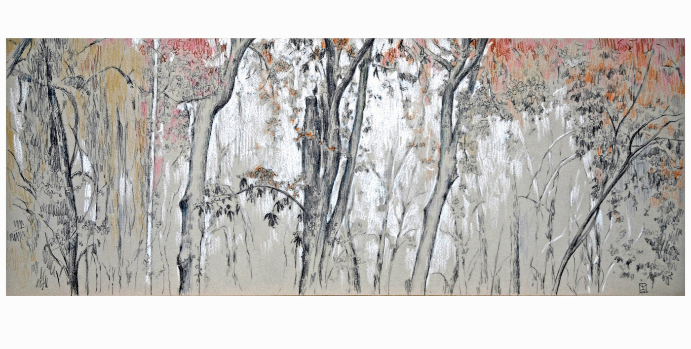 Arboleda junto al río Tajo |Dibujo de Manuel Luca de tena | Compra arte en Flecha.es