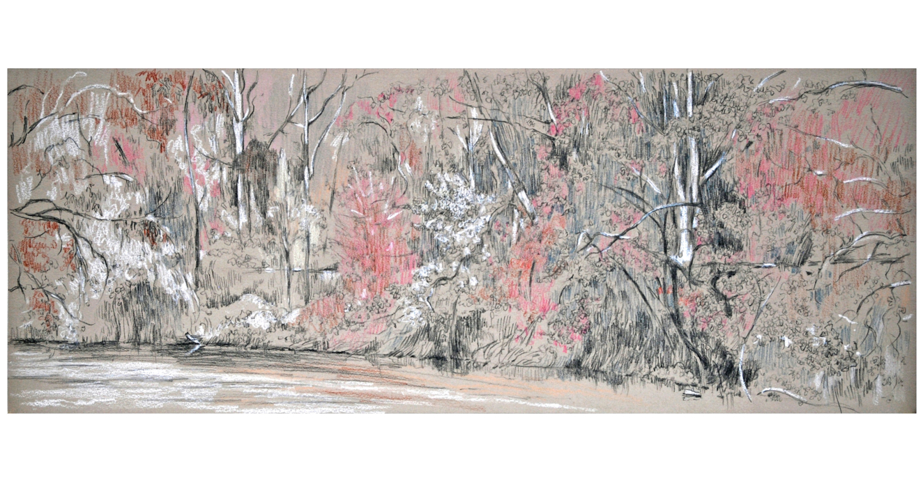Orillas del río Tajo |Dibujo de Manuel Luca de tena | Compra arte en Flecha.es