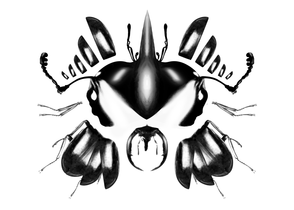 Test de Rorschach. Lámina 1. |Collage de Sara Novovitch | Compra arte en Flecha.es