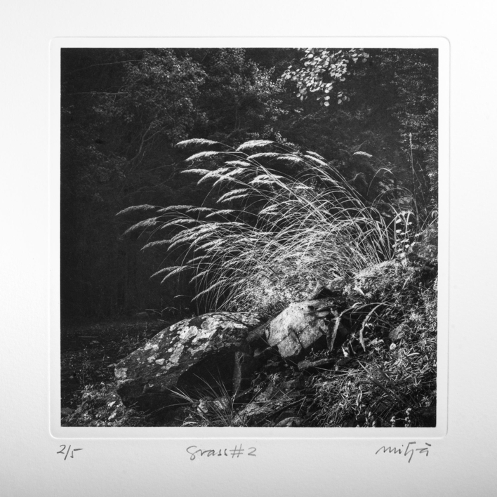 Grass #2 |Fotografía de Carles Mitjà | Compra arte en Flecha.es