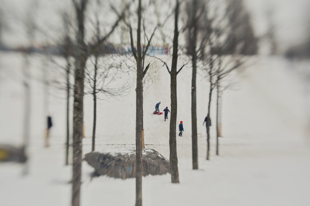 En la nieve |Fotografía de Celia de Coca | Compra arte en Flecha.es