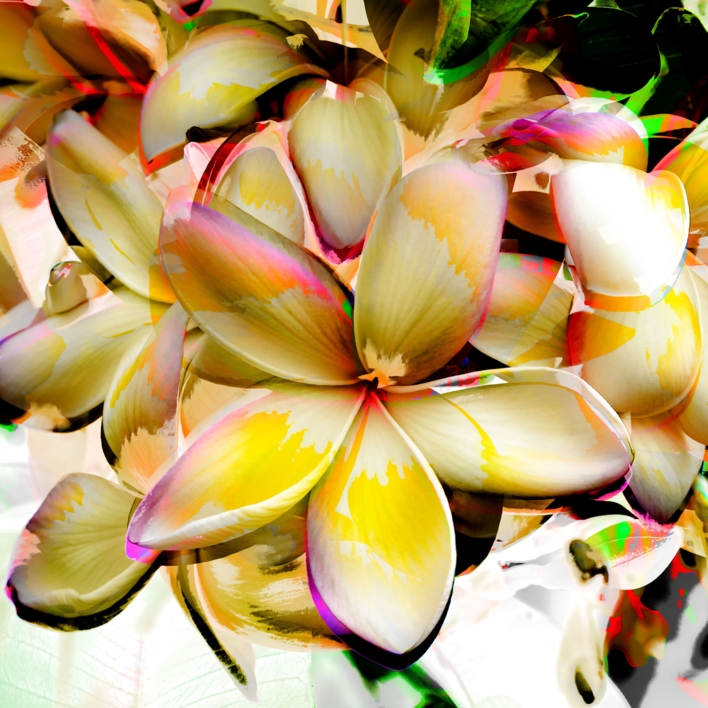 Flor del templo |Collage de Miguel Plà | Compra arte en Flecha.es