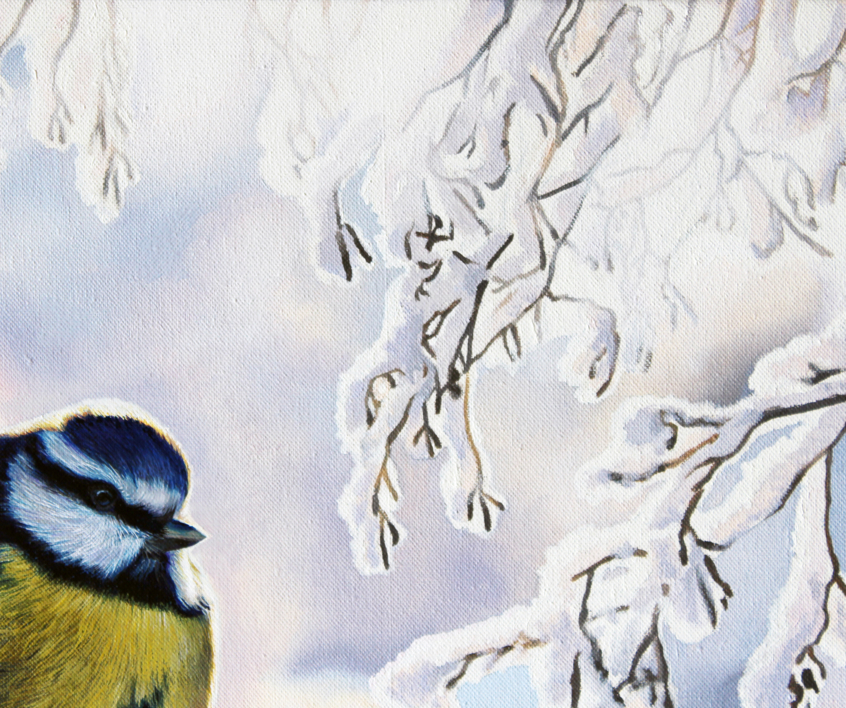 Herrerillo en invierno | Pintura de Javier Ramos Julián | Compra arte en Flecha.es