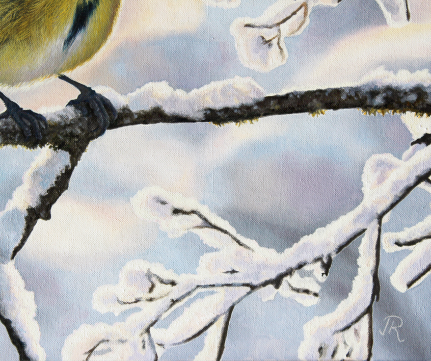 Herrerillo en invierno | Pintura de Javier Ramos Julián | Compra arte en Flecha.es