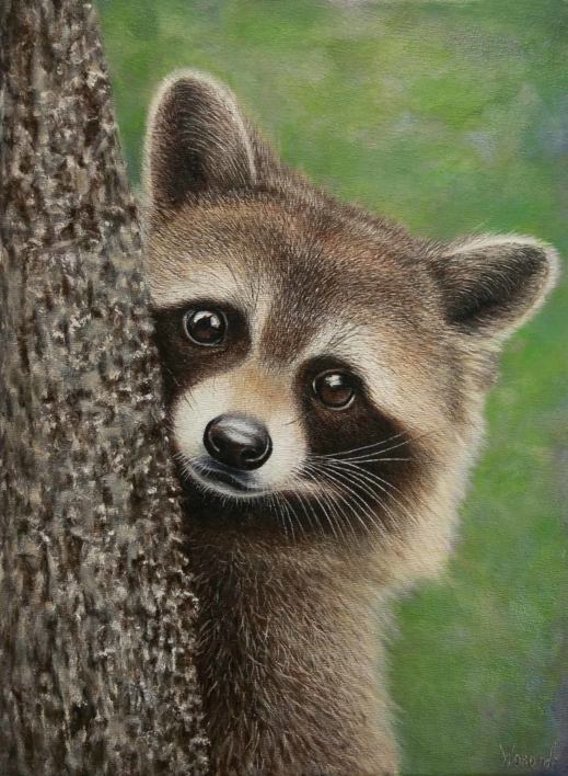 Un Mapache  simpático y curioso. |Pintura de Anastasia Woron | Compra arte en Flecha.es