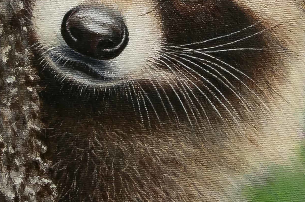 Un Mapache  simpático y curioso. | Pintura de Anastasia Woron | Compra arte en Flecha.es