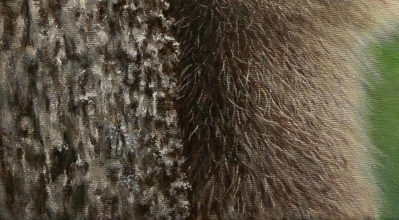 Un Mapache  simpático y curioso. | Pintura de Anastasia Woron | Compra arte en Flecha.es