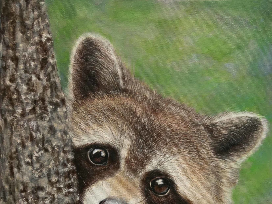 Un Mapache  simpático y curioso. | Pintura de Anastasia Woron | Compra arte en Flecha.es