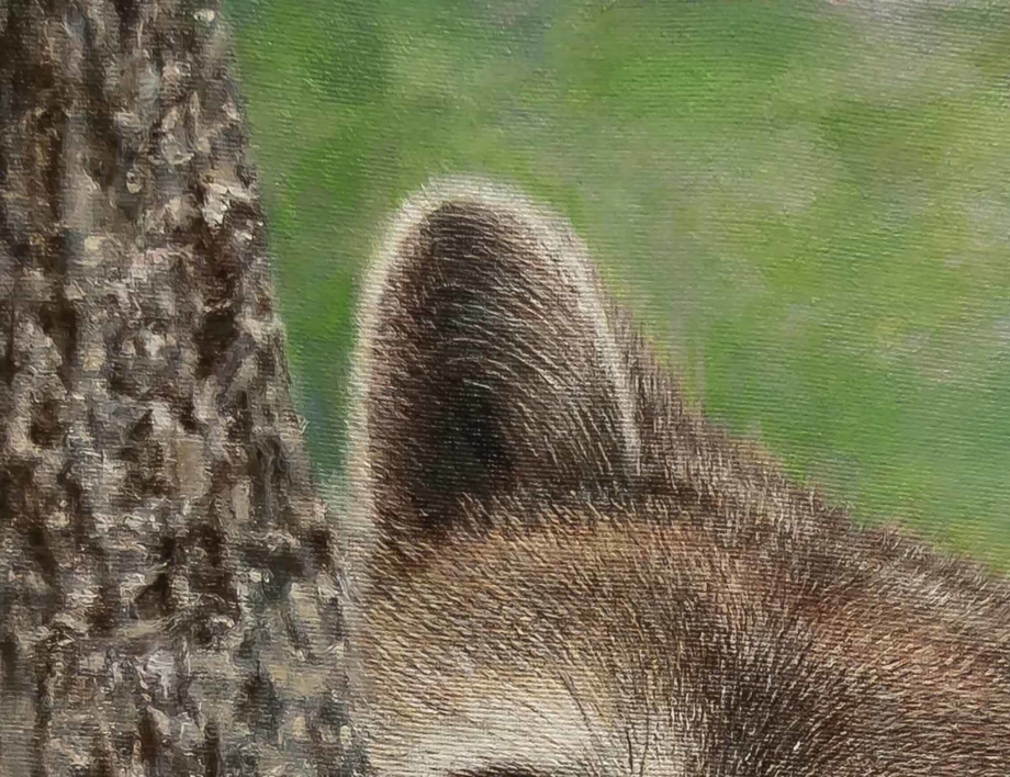 Un Mapache  simpático y curioso. | Pintura de Anastasia Woron | Compra arte en Flecha.es