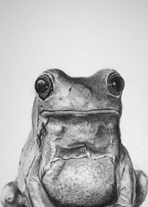 Granota | Dibujo de Arnau | Compra arte en Flecha.es