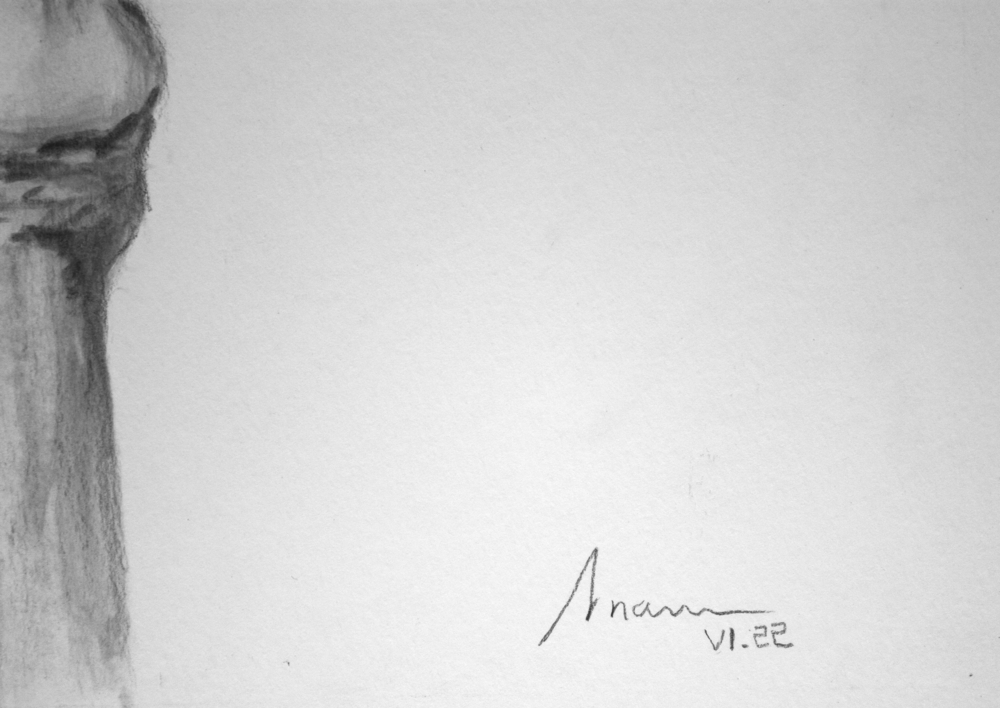 Granota | Dibujo de Arnau | Compra arte en Flecha.es