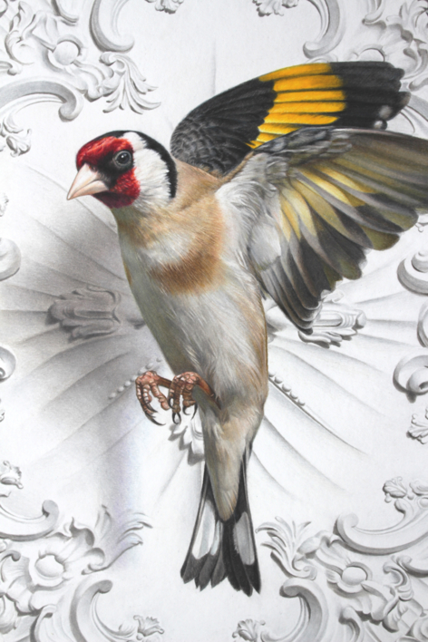El vuelo del Jilguero | Dibujo de Javier Ramos Julián | Compra arte en Flecha.es