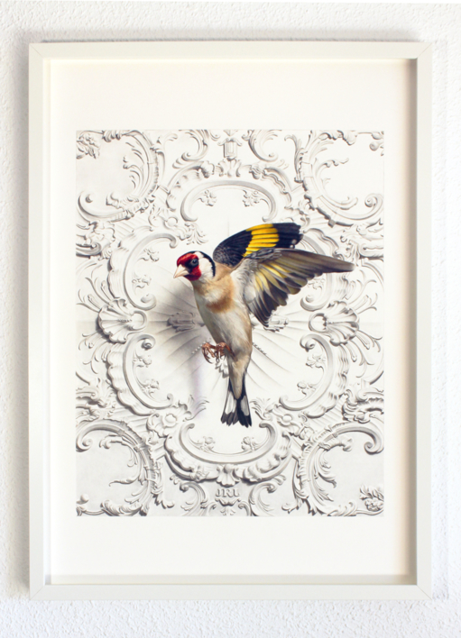 El vuelo del Jilguero | Dibujo de Javier Ramos Julián | Compra arte en Flecha.es