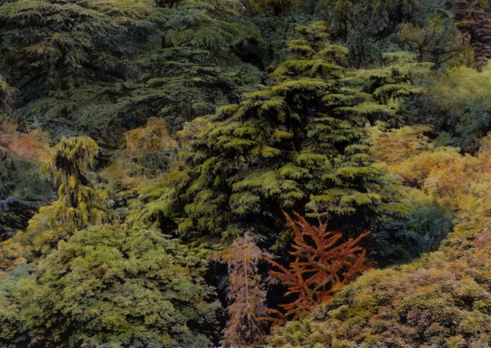 Un Nuevo Horizonte en Madrid. | Fotografía de Carlos Arriaga | Compra arte en Flecha.es