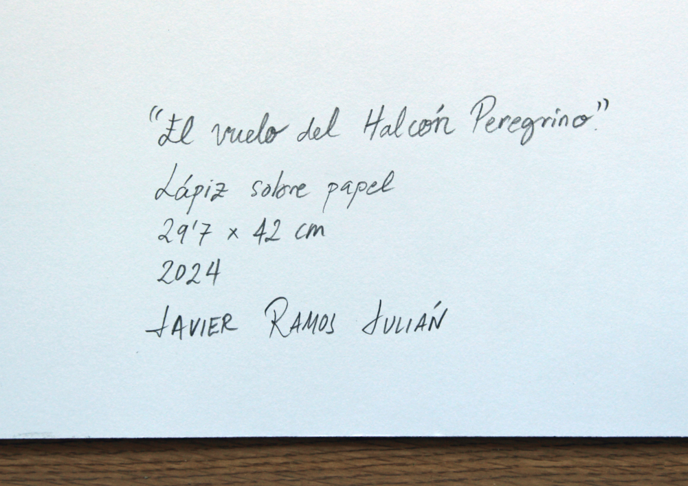 El Vuelo del Halcón Peregrino | Dibujo de Javier Ramos Julián | Compra arte en Flecha.es