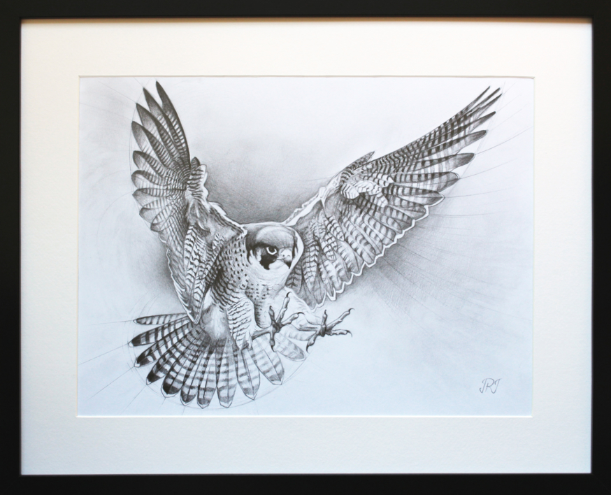 El Vuelo del Halcón Peregrino | Dibujo de Javier Ramos Julián | Compra arte en Flecha.es