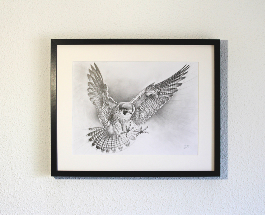El Vuelo del Halcón Peregrino | Dibujo de Javier Ramos Julián | Compra arte en Flecha.es