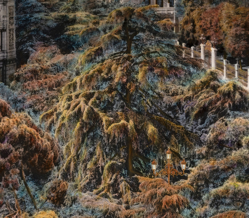 Calma | Fotografía de Carlos Arriaga | Compra arte en Flecha.es