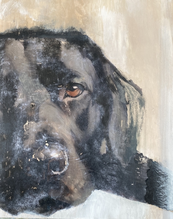 Labrador |Pintura de Maria San Martin | Compra arte en Flecha.es