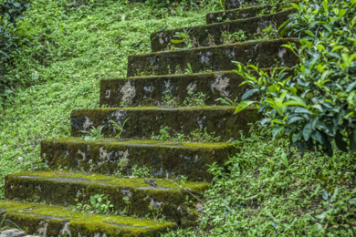 Escalera Viva|DigitaldeMarieta Pazos| Compra arte en Flecha.es