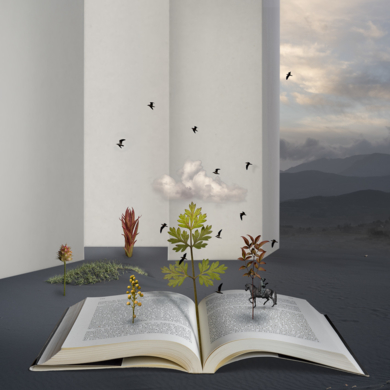 Buscando respuestas|FotografíadeLeticia Felgueroso| Compra arte en Flecha.es