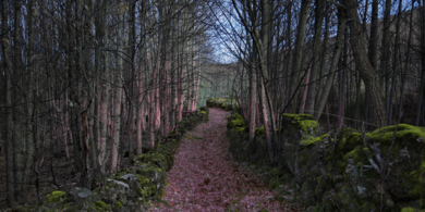 Un día rosa|FotografíadeLeticia Felgueroso| Compra arte en Flecha.es