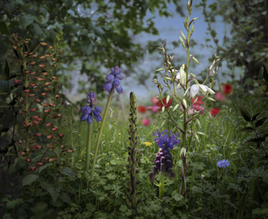 Primavera de corazón|FotografíadeLeticia Felgueroso| Compra arte en Flecha.es