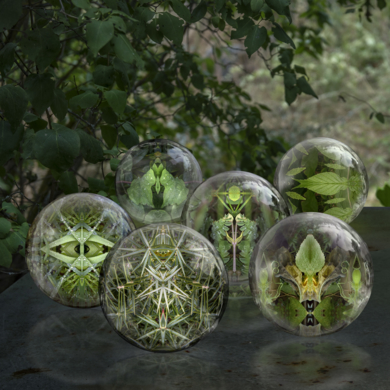 Simetrías del reino vegetal|FotografíadeLeticia Felgueroso| Compra arte en Flecha.es