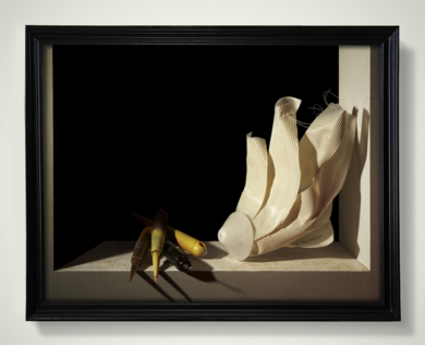 Bodegón con cardo y zanahorias después de Sánchez Cotán|FotografíadeTomás Justicia| Compra arte en Flecha.es