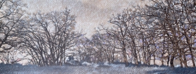 Bosque gris|DibujodeKatinka G. Edelfelt| Compra arte en Flecha.es