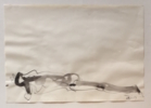 Horizontal | Dibujo de Jaelius Aguirre | Compra arte en Flecha.es